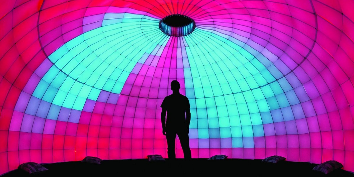 Places to Take Pictures in Scottsdale Livestock Framing