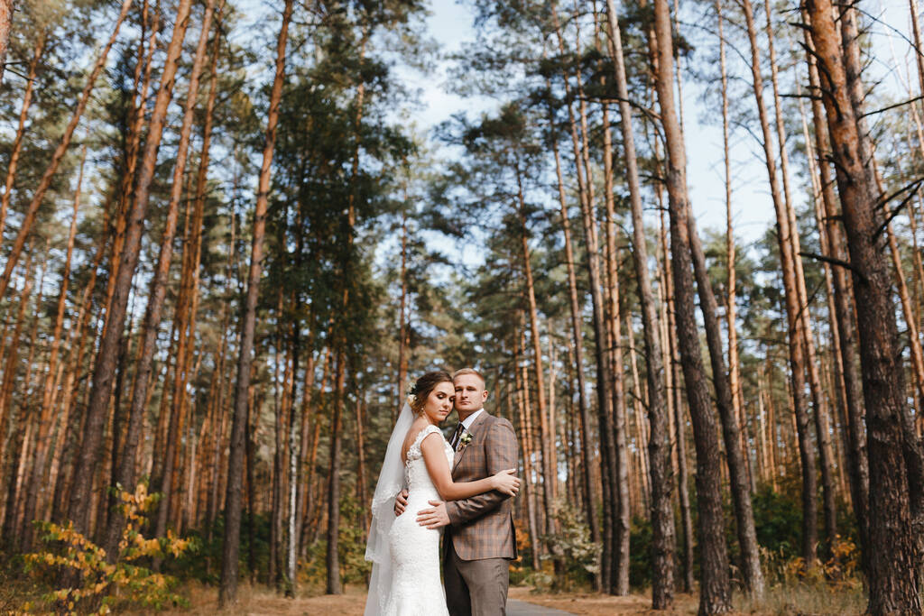 Bride in the wedding dress and veil and groom in the checkered suit at the background of the pines. Bride and groom portrait. Portrait of the newlyweds